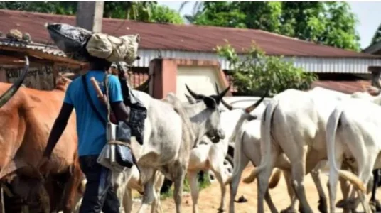 herdsmen.JPG