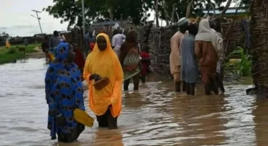 flood.JPG flood.JPG