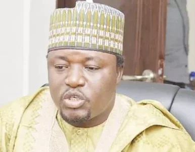 shettima.JPG shettima.JPG
