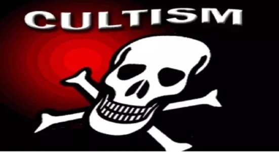 cultisim.JPG cultisim.JPG