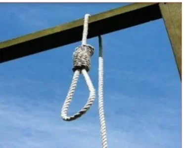 hanging.JPG hanging.JPG