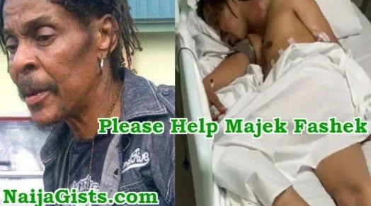 majek.JPG majek.JPG