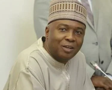 bukola.JPG bukola.JPG