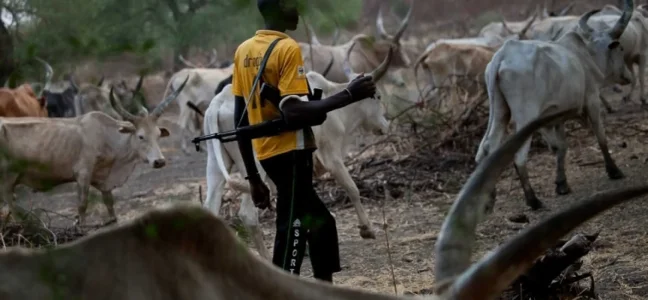 herdsmen-4.jpg herdsmen-4.jpg