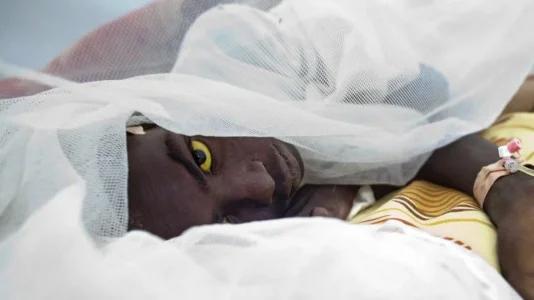 yellow-fever.jpg yellow-fever.jpg