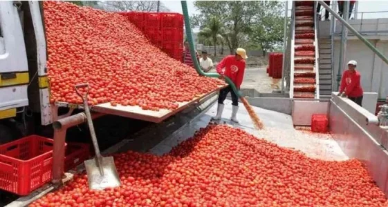 www.nigerianbulletin.com