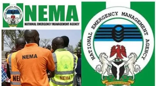 nema.JPG nema.JPG