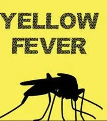 fever.jpg fever.jpg
