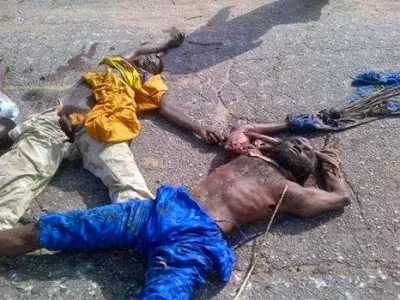 Shekau dead.jpg Shekau dead.jpg