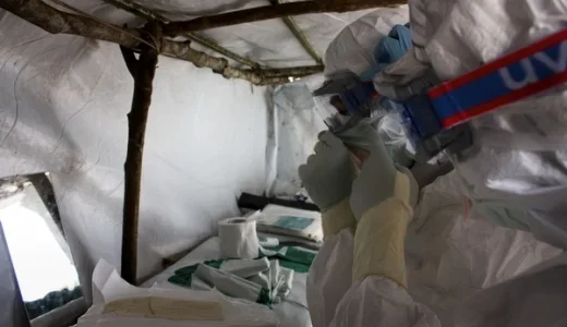 ebola virus.jpg ebola virus.jpg
