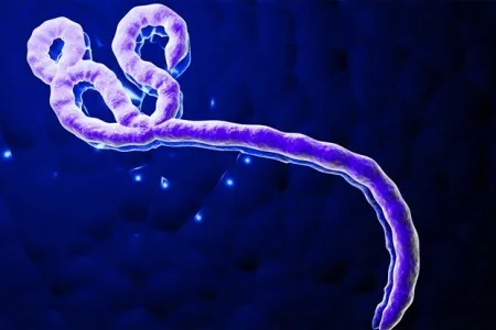 ebola-450x300.jpg ebola-450x300.jpg