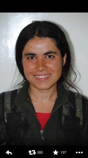 arin-mirkan.jpg arin-mirkan.jpg