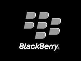 blackberry.jpg blackberry.jpg