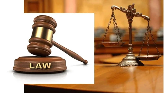 courts-law-legal-system-judiciary-.png courts-law-legal-system-judiciary-.png