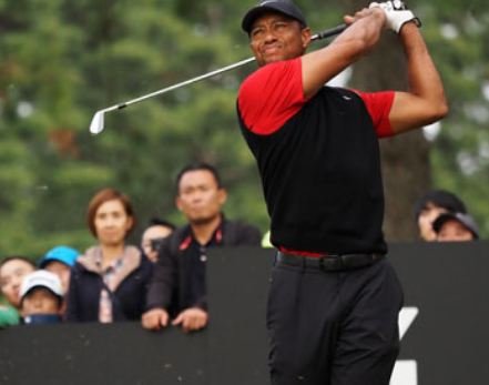 woods.JPG woods.JPG