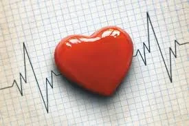 heart.jpg