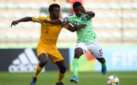 golden eaglets.JPG golden eaglets.JPG