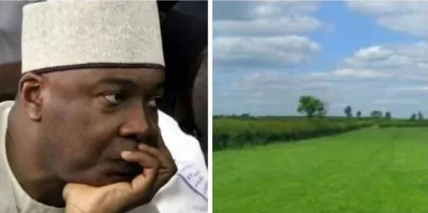 saraki.JPG saraki.JPG