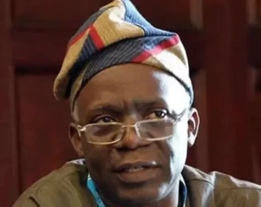 falana.JPG falana.JPG