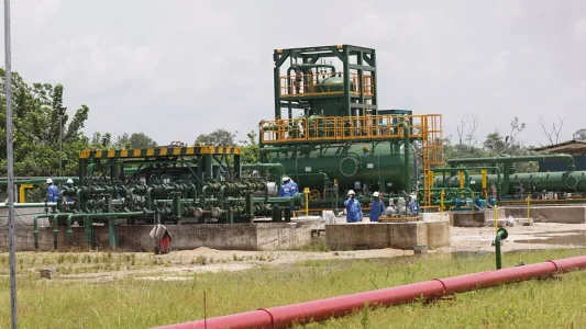 pic1.jpg