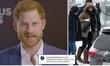 harry.JPG harry.JPG