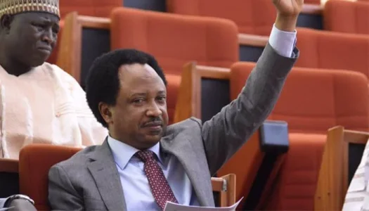 Shehu-Sani (1).jpg Shehu-Sani (1).jpg