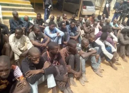kidnappers.JPG kidnappers.JPG