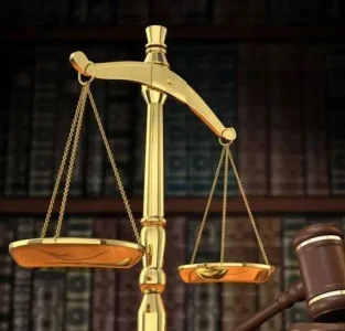 court.JPG court.JPG