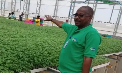 dangote.JPG dangote.JPG