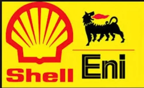 shell.JPG shell.JPG