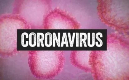 coronoaaaa.JPG coronoaaaa.JPG