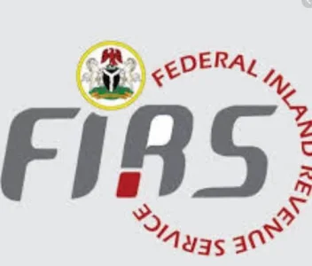 firs.JPG firs.JPG