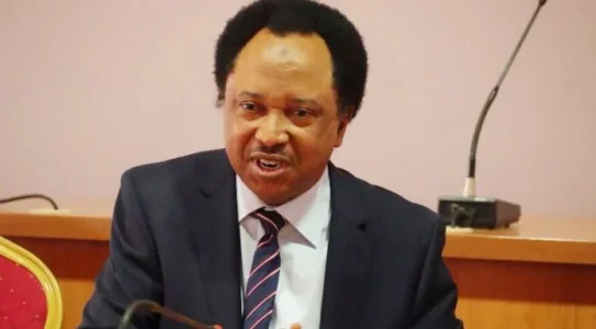 06832e64-shehu-sani-696x385.jpg 06832e64-shehu-sani-696x385.jpg
