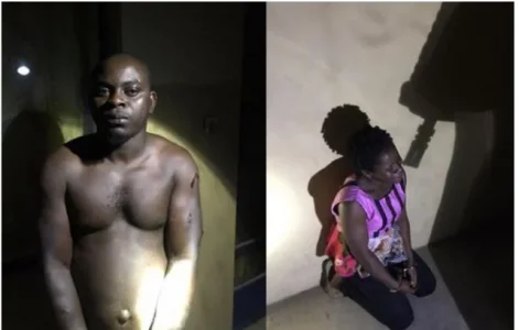 Suspects.JPG Suspects.JPG