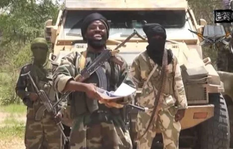 SHEKAU.jpg SHEKAU.jpg