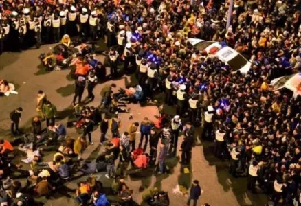 stampede.JPG stampede.JPG