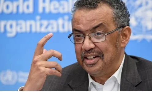 tedros.JPG tedros.JPG