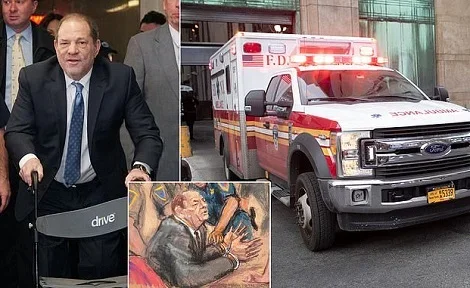 harvey.jpg harvey.jpg
