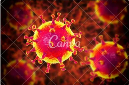 virus.JPG virus.JPG