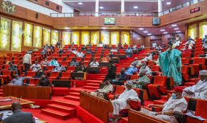 Nigerian Senate Proposes Diaspora Voting and Mandatory E-Transmission of Results For 2027 Elections