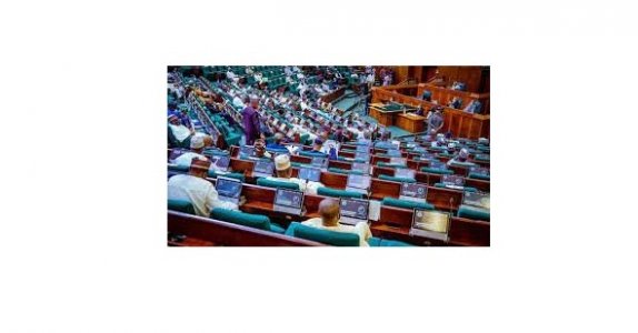 House of Representatives Rushes Approval for 2023 Supplementary Budget