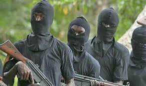 Gunmen Abduct Two Wives of Jigawa State Local Government Chairman in Bold Attack