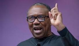 Peter Obi Accuses Supreme Court of Failing in Tinubu Forgery Allegations, Sparking Debate on Judiciary's Role