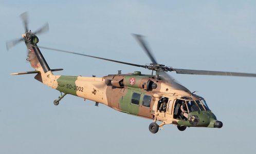 Jordanian_Air_Force_UH-60_Black_Hawk_helicopter_(cropped).jpg