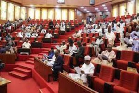 Senate Approves Tinubu's $7.8B and €100M Borrowing Plan for Nigeria's Growth