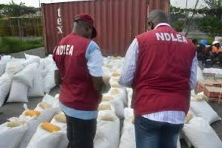 Borno Youths Turn to Disturbing Alternatives, Drinking Fermented Urine and Lizard Dung, Reveals NDLEA