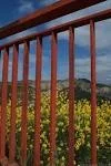 rusty railing.jpg