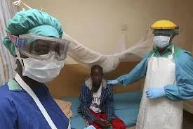 lassa fever.jpg lassa fever.jpg