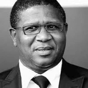 Mbalula.jpeg Mbalula.jpeg