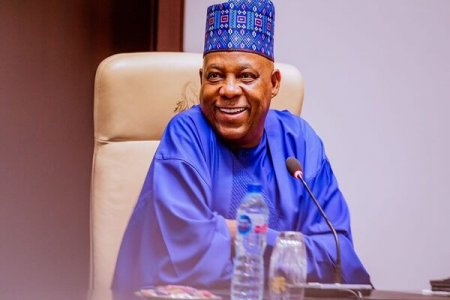 [VIDEO] Twitter Outcry as Video Surfaces of VP Shettima and Ministers Dancing 'Buga' at Davos 2024 Amid National Crisis
